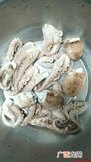 八爪鱼怎样清洗的全部内容 八爪鱼怎样清洗