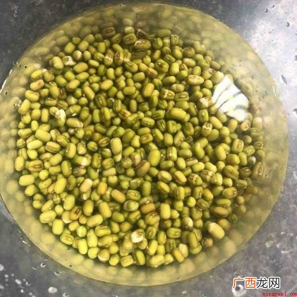 煮绿豆粥绿豆要泡,能让绿豆变松,迅速煮透 做绿豆汤绿豆要泡吗