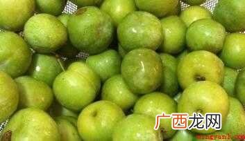 通风良好、光线充足的地方暴露1周左右 李子果脯干自制方法