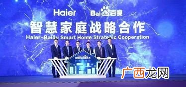 海尔是国企吗百度百科,海尔兄弟属于国企吗？