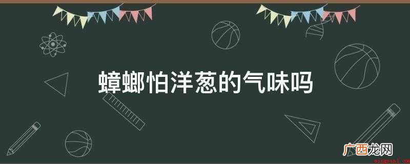 蟑螂不仅不怕洋葱的味道,还可能吃洋葱 蟑螂怕洋葱的气味吗