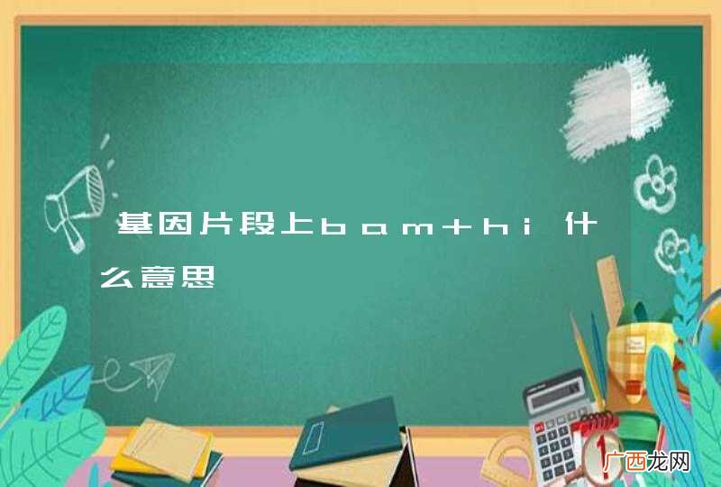 基因片段上bam hi什么意思