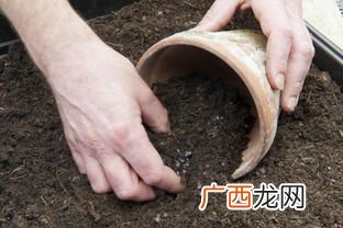 陶土在家怎么烧,黎族土陶的制作方法？
