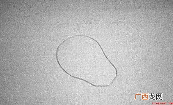 香瓜简笔画怎么画 画出来不同方向短的香瓜纹理线 香瓜简笔画怎么画