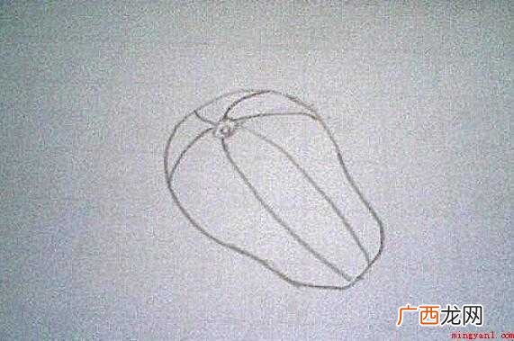 香瓜简笔画怎么画 画出来不同方向短的香瓜纹理线 香瓜简笔画怎么画