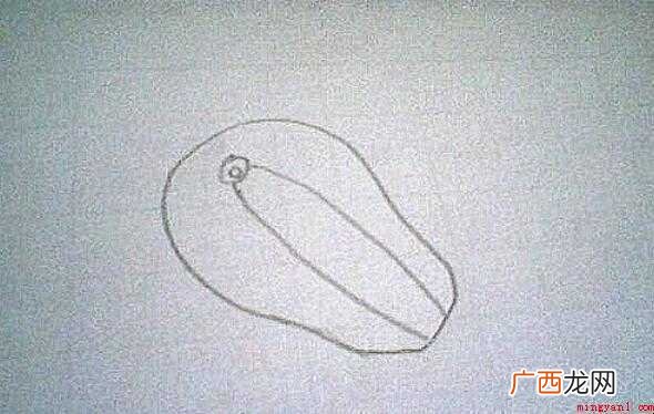 香瓜简笔画怎么画 画出来不同方向短的香瓜纹理线 香瓜简笔画怎么画