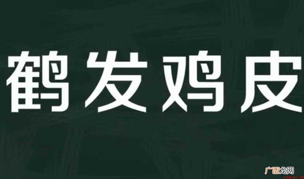 鹤发鸡皮的意思是什么