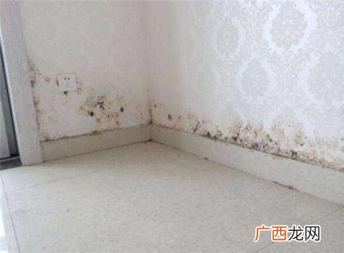 墙壁渗水怎么解决,墙壁漏水怎么处理？