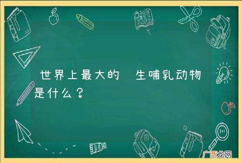 世界上最大的陆生哺乳动物是什么？