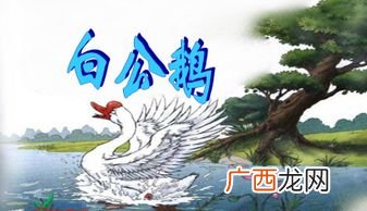 白公鹅是什么国家的作者写的,俄国作家叶，诺索夫写的白公鹅有哪些特点？