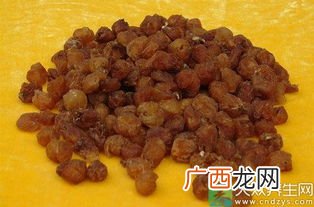 龙眼肉是什么,龙眼肉的意义与象征？