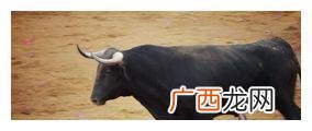 牤牛是什么意思,牛的几种叫法？民间，如山东乡间，公牛母牛各有什么叫法？