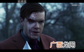 美剧小丑是哪部电视剧,关于小丑的电视剧美国？