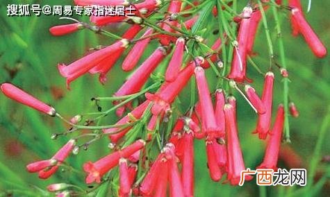 2023年属什么,2023是什么年份？