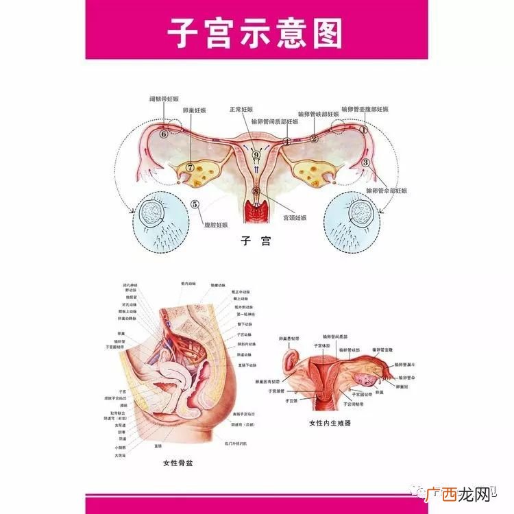 盆底肌检查是怎么检查,怎样检查盆底肌？