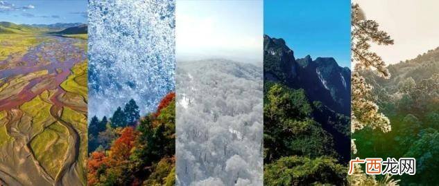国家公园有哪些,中国新增的四个国家公园？