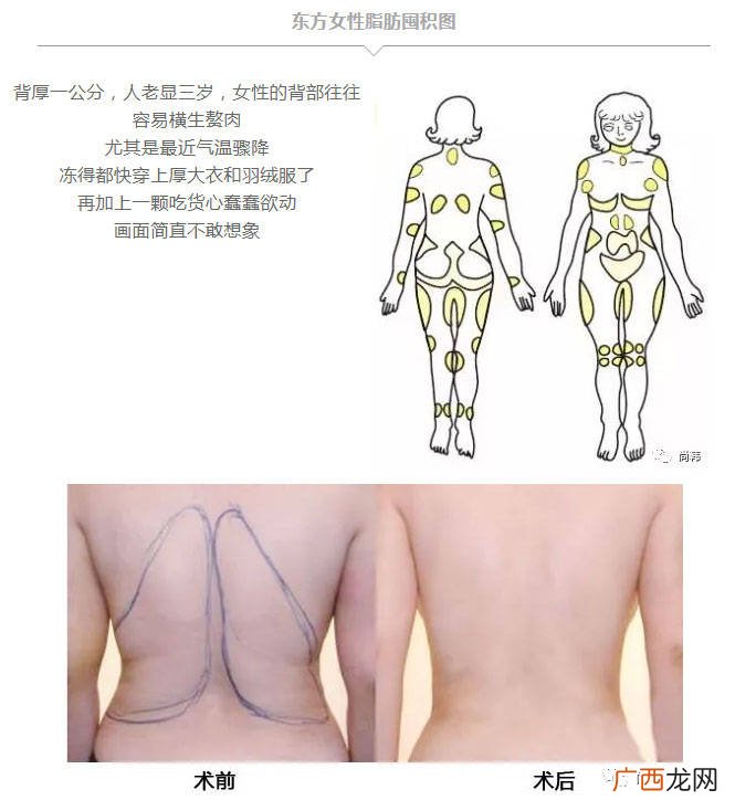 美人在骨不在皮什么意思,美人在骨不在皮什么意思？