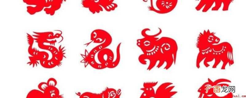 生肖中,下面动物都是成群结队的 成群结队的动物是什么生肖