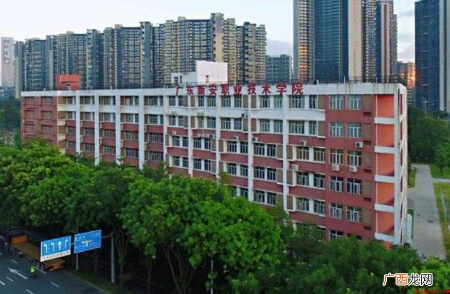 广东新安职业技术学院有什么历史沿革