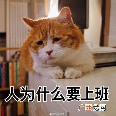 人为什么要上班,人为什么要上班？