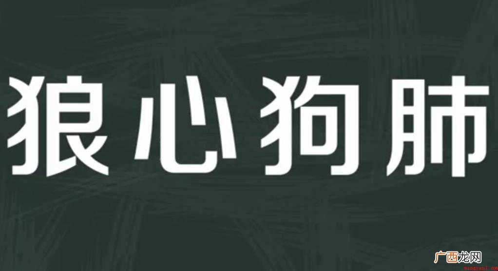关于狼心狗肺的意思是什么 狼心狗肺的意思是什么