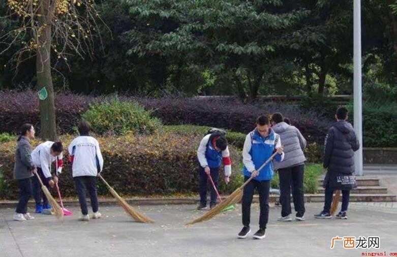 社会实践活动作文怎么写