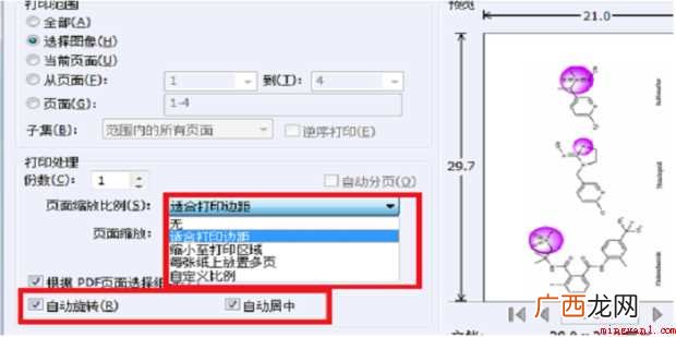 pdf怎样调整页面只打印部分内容