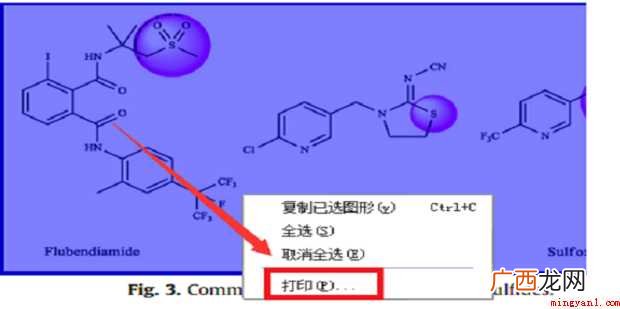 pdf怎样调整页面只打印部分内容