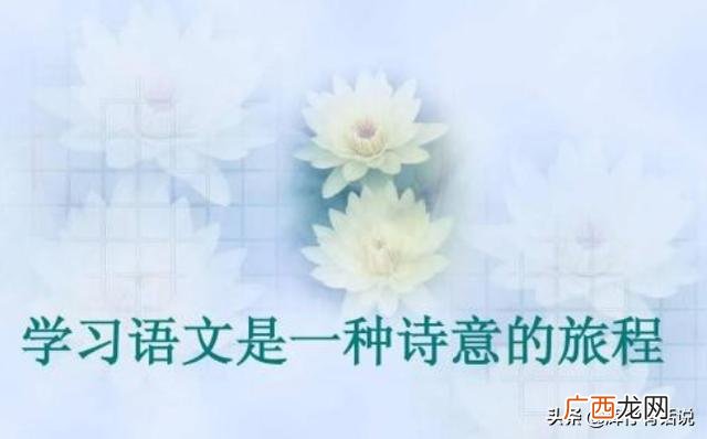 大语文是什么意思,什么是“大语文”?课程包含哪几个模块?
