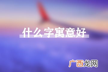 什么字寓意好,形容很有文学的一个字?