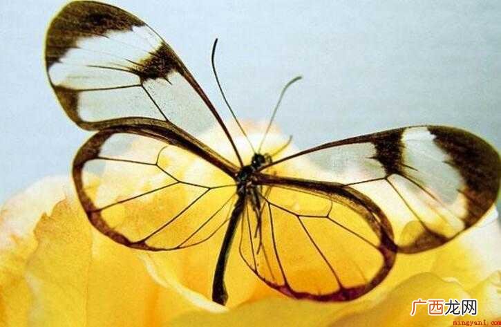 一目了然,汉语成语,拼音是y m liǎo rán,意思是一 一目了然有哪些造句
