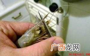 怎样制作油焖大虾