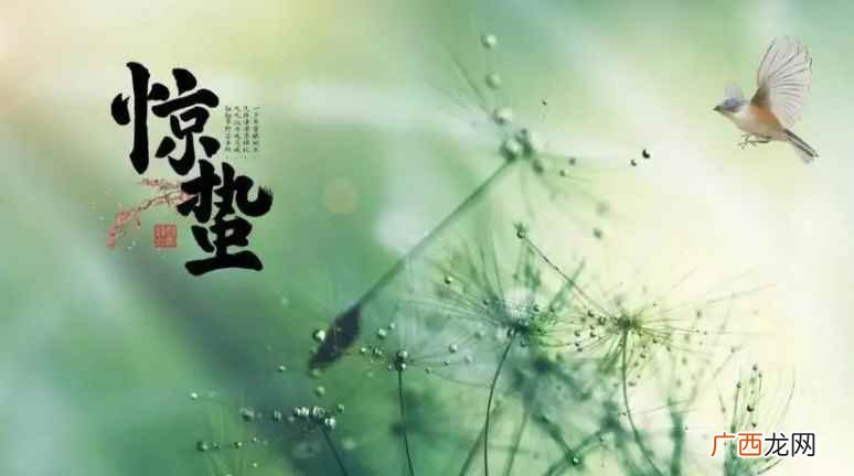 二十四节气:立春、雨水、惊蛰、春分、清明、谷雨、立夏、小满、 惊蛰是几月几号