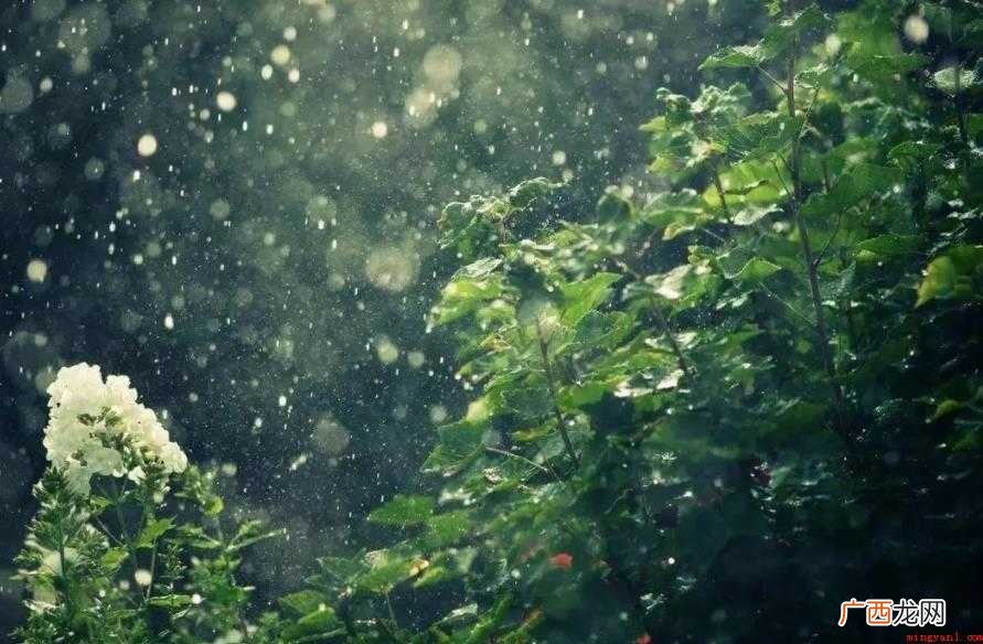 细雨如丝,细细的、密密的,在风中随意飘洒,一层层薄薄的`