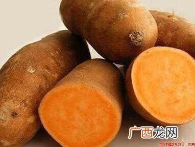 地瓜有哪些做法