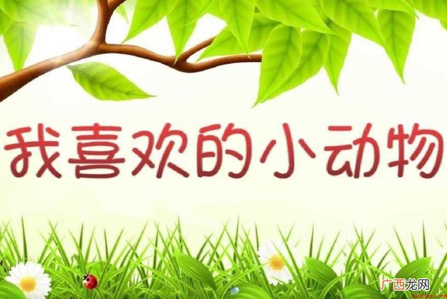 我喜爱的动物作文怎么写