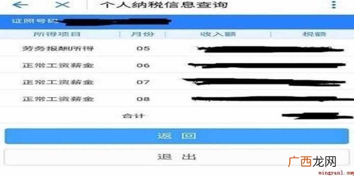 如何在网上查个人所得税