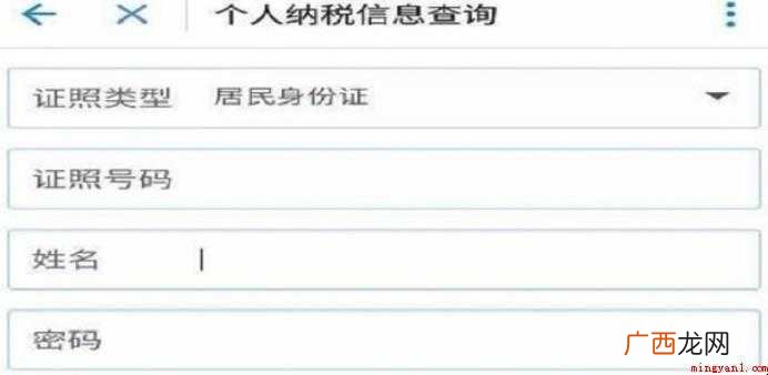 如何在网上查个人所得税