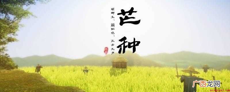 芒种是夏季的第三个节气,干支历午月的起始 芒种是什么意思