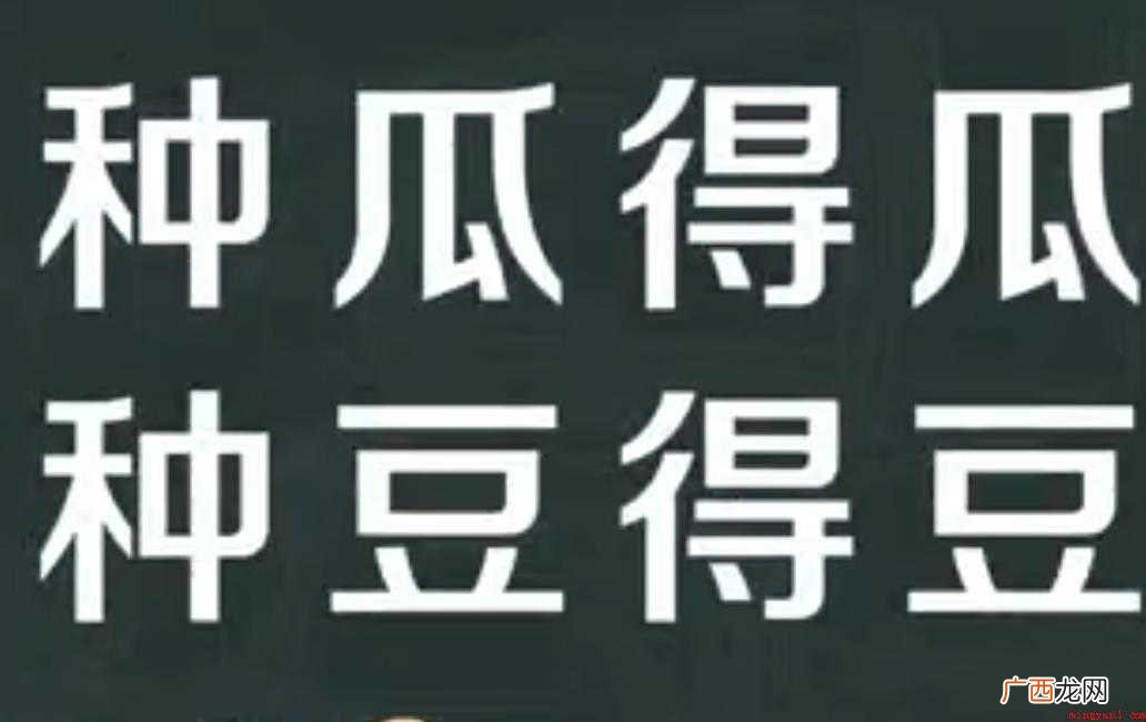 种瓜得瓜种豆得豆意思是什么