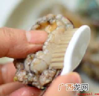 怎样处理生蚝 生蚝怎样清洗处理 怎样处理生蚝
