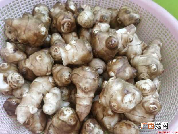 洋姜如何腌制