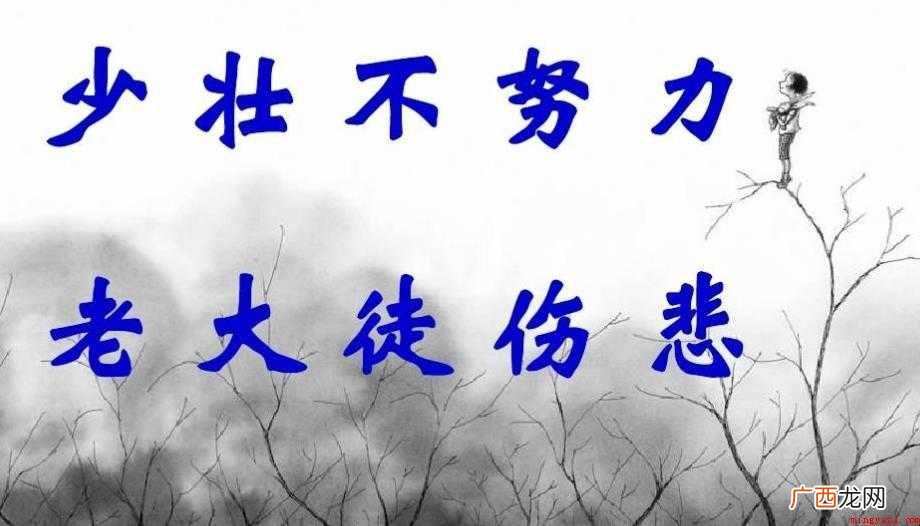 老大徒伤悲的前一句是什么