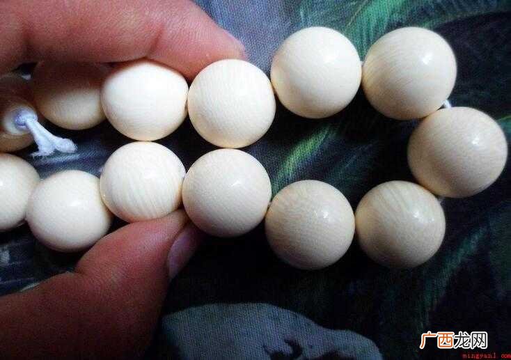 辨别的近义词有哪些内容 辨别的近义词有哪些