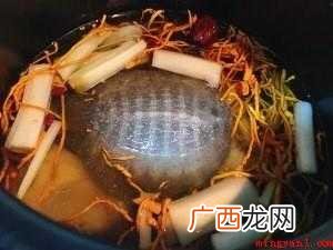 甲鱼汤怎样做