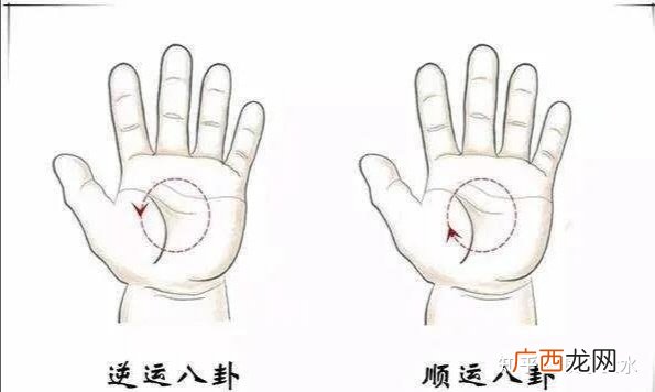 积食的症状有哪些,成人积食的症状及治疗方法是怎样的呢?