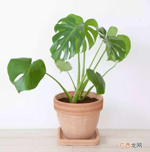 什么去甲醛最快有效,如何去除甲醛？