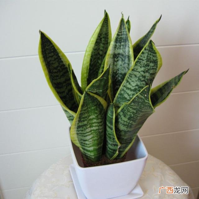什么去甲醛最快有效,如何去除甲醛？
