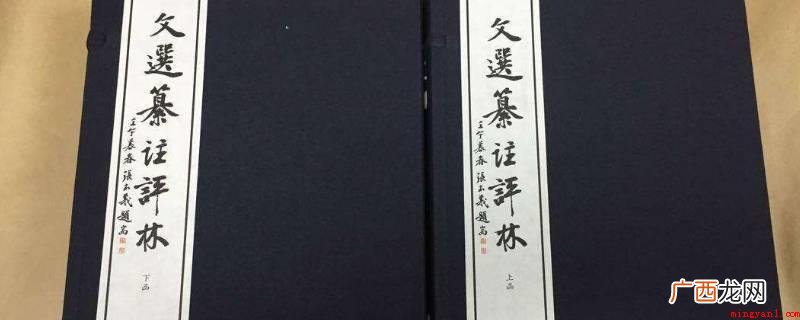 《昭明文选》是中国现存的最早一部诗文总集 昭明文选的作者是谁