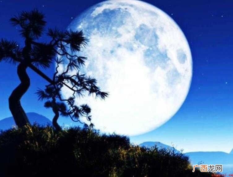 今夜月明人尽望下一句是什么